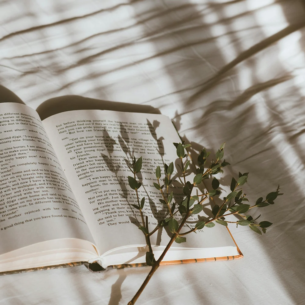 AMindfulMovement-Offerings-Book-Club-Join-The-Community